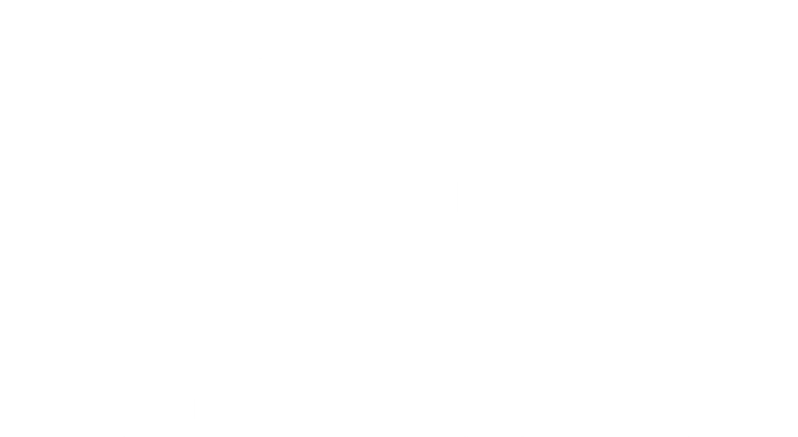 Sinergi Group